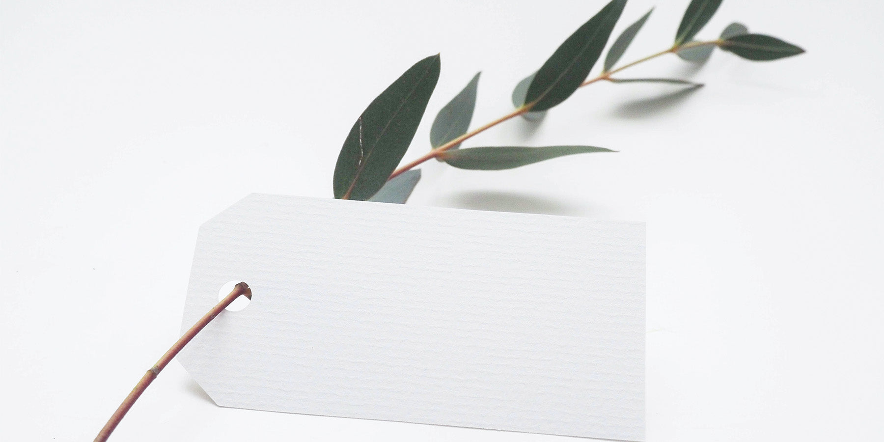 Eco Friendly Certifications and Labels to Look Out For