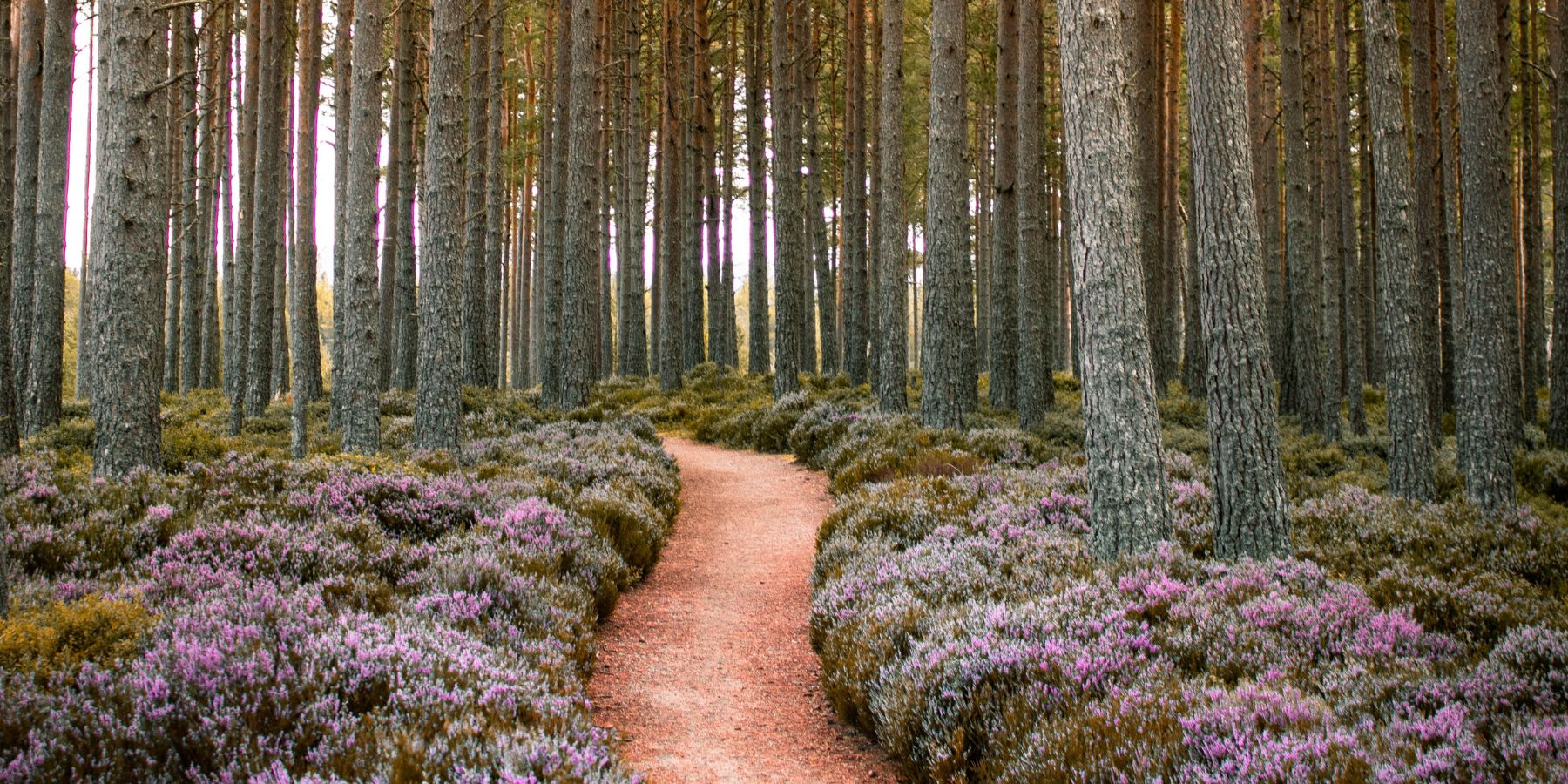 How to Support Sustainable Brands & Shop Mindfully This Year