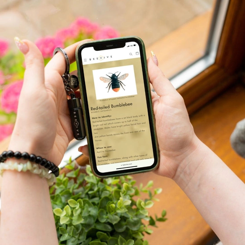 Bee Revival Kit - Gold by Beevive