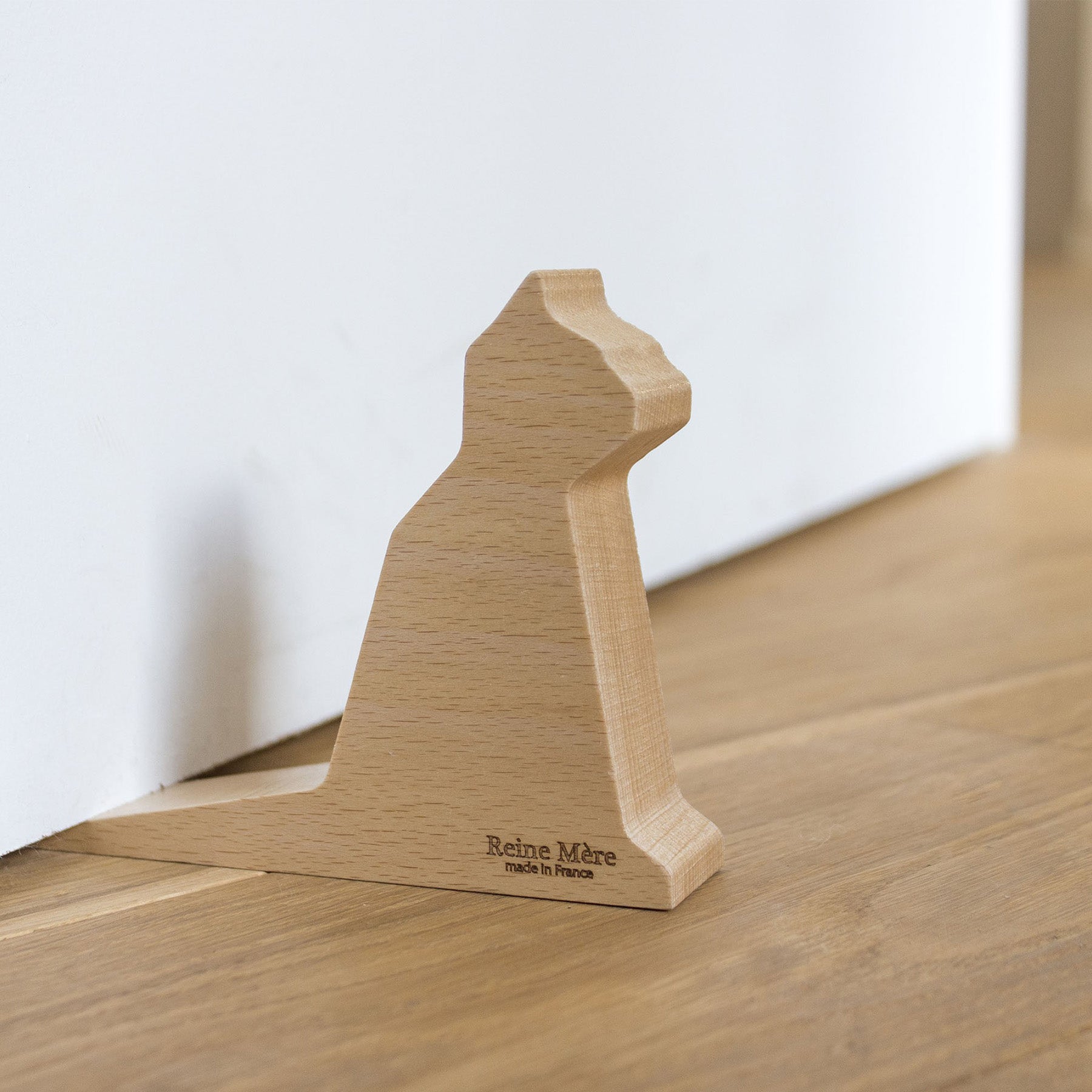 Cat door stop shown under a door