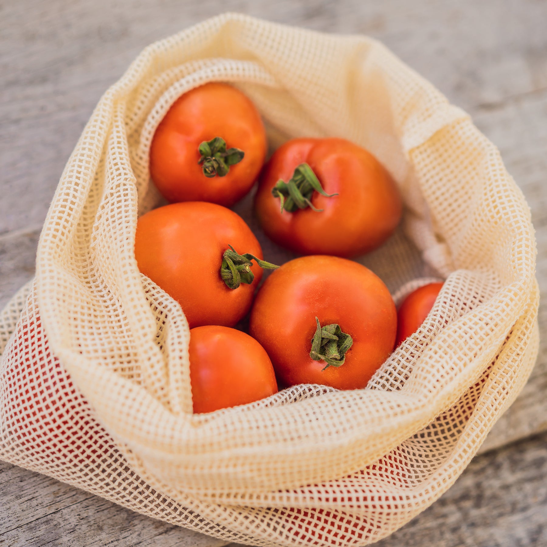 Zero Waste Net Produce Bag - Large - Pasoluna