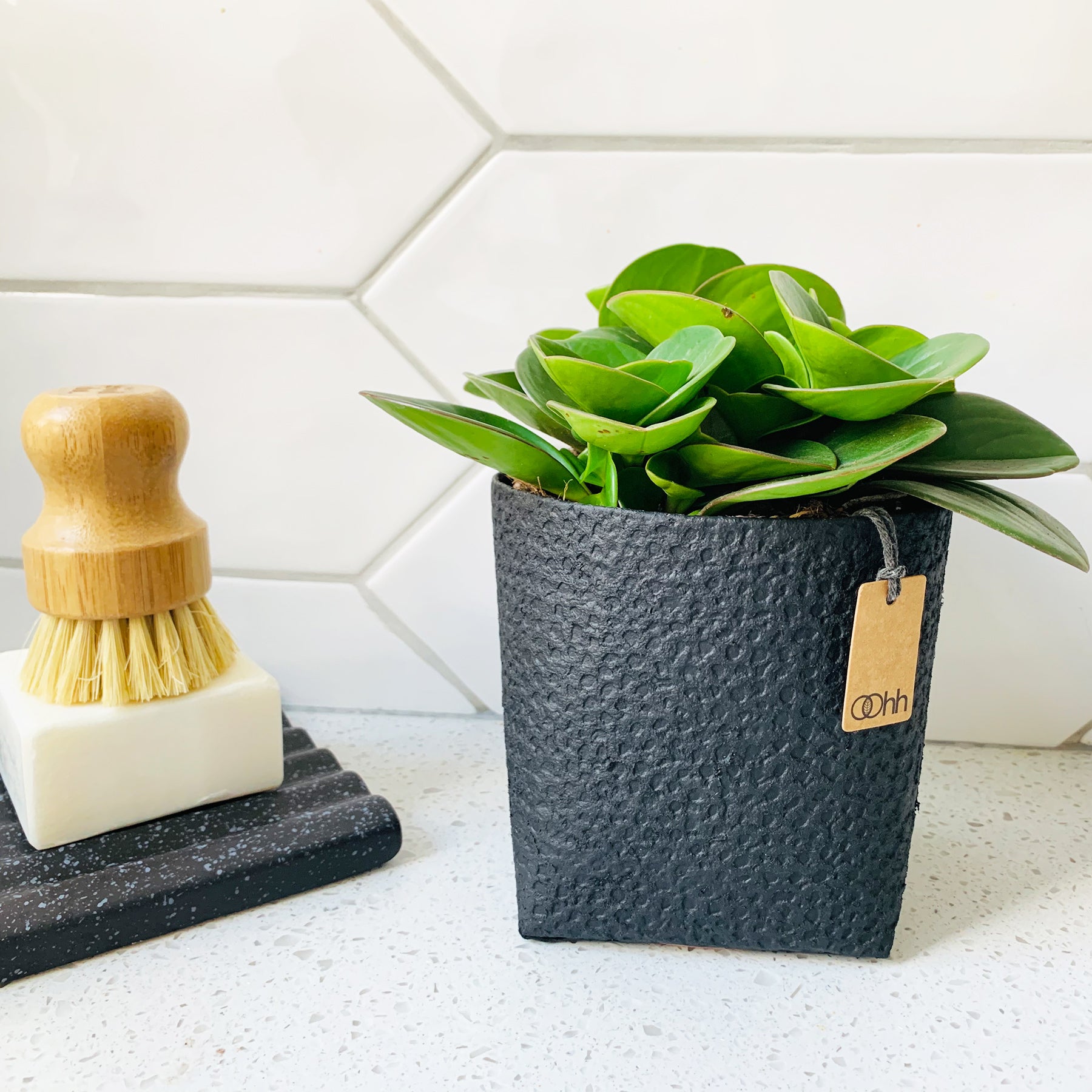 Madrid Plant Pot - Waterproof Recycled Paper in Black by Oohh Collection