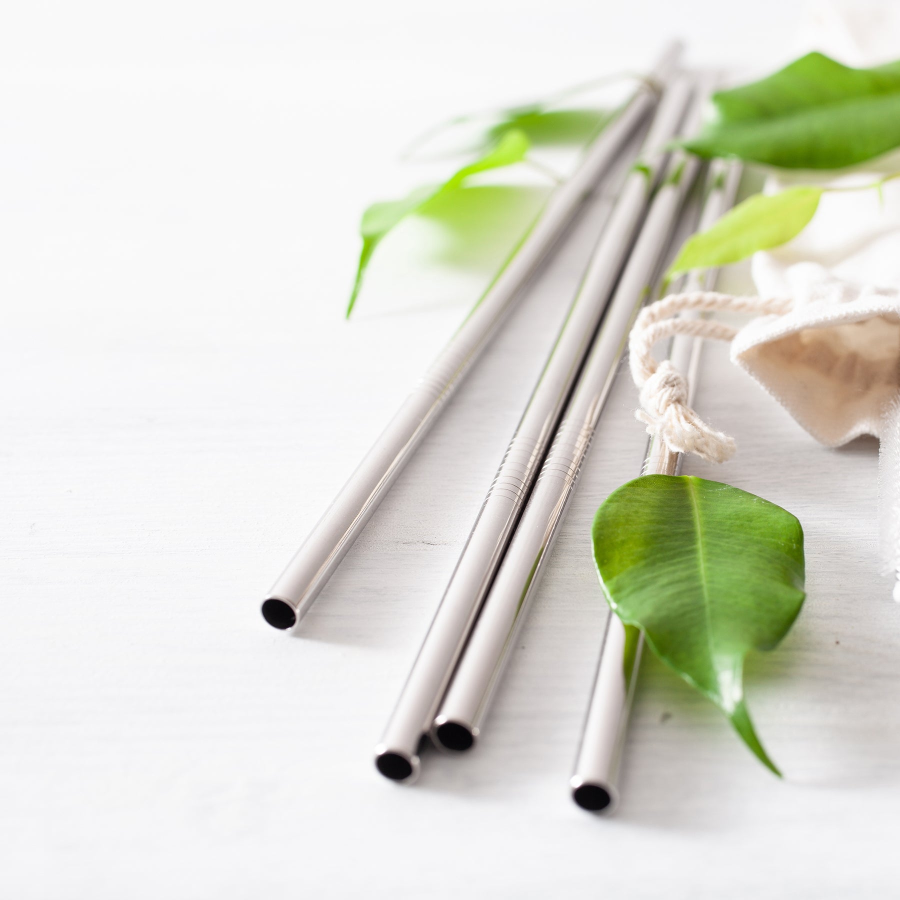 Single Reusable Stainless Steel Straw - Straight - Pasoluna