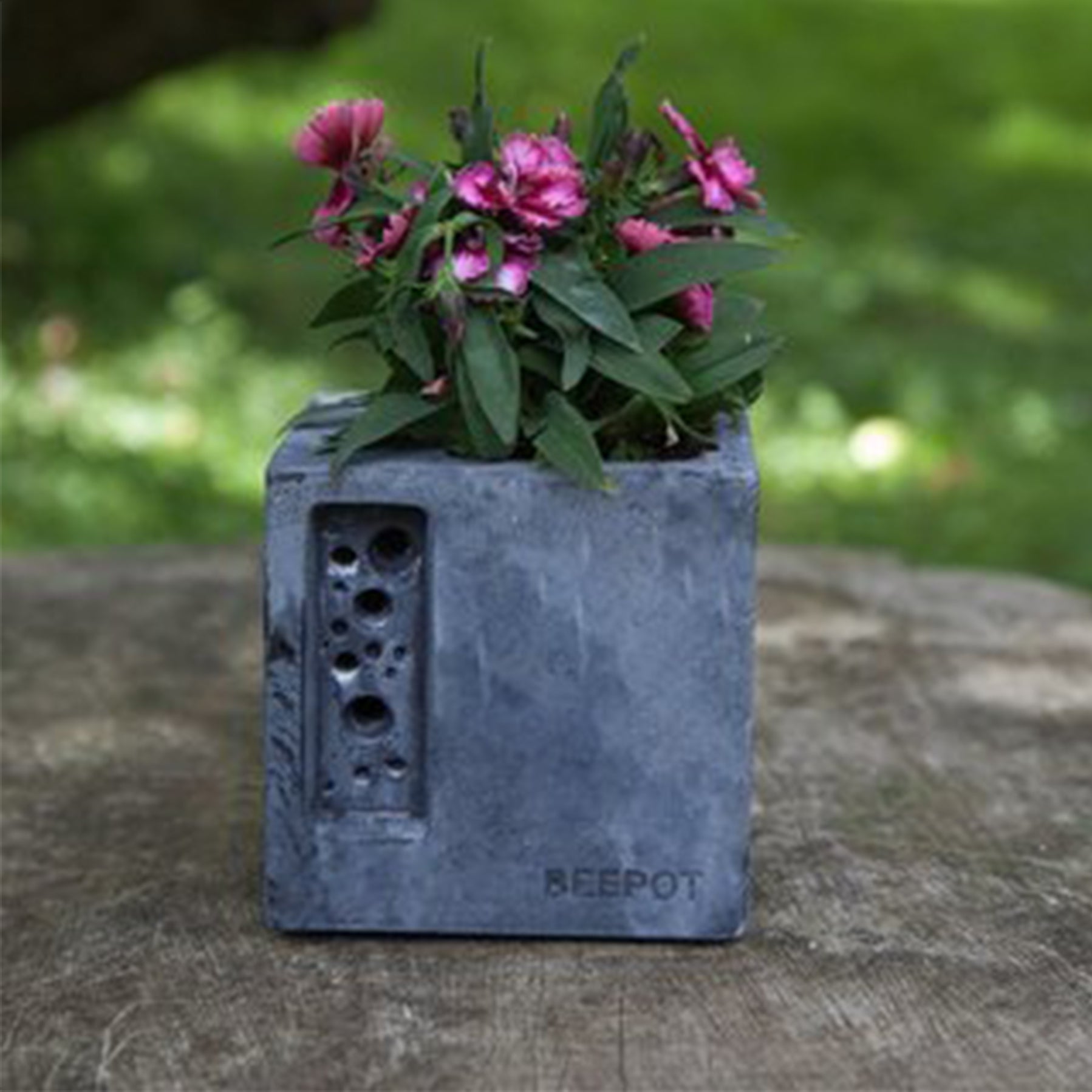 Beepot Mini Planter - Charcoal Grey by Green & Blue