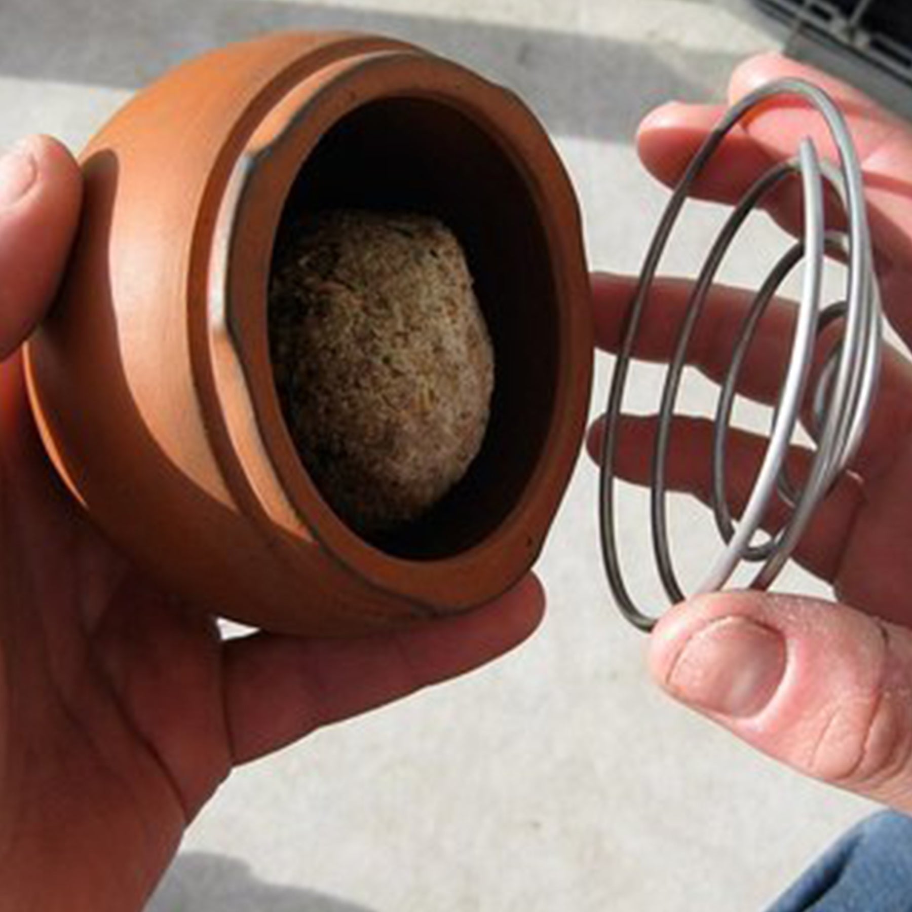 Birdball Belle Bird Feeder - Lime Green by Green & Blue