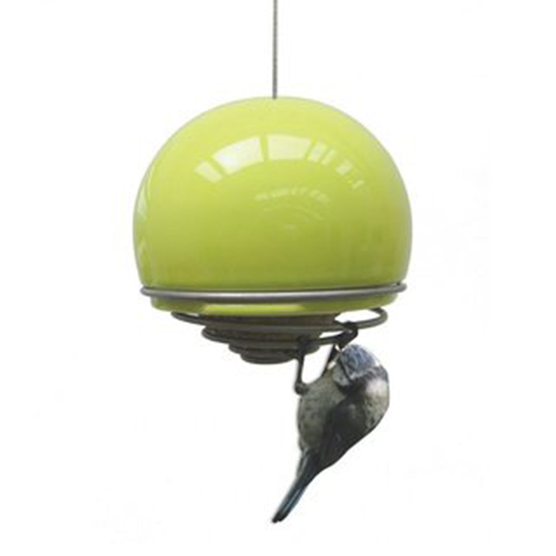 Birdball Belle Bird Feeder - Lime Green by Green & Blue