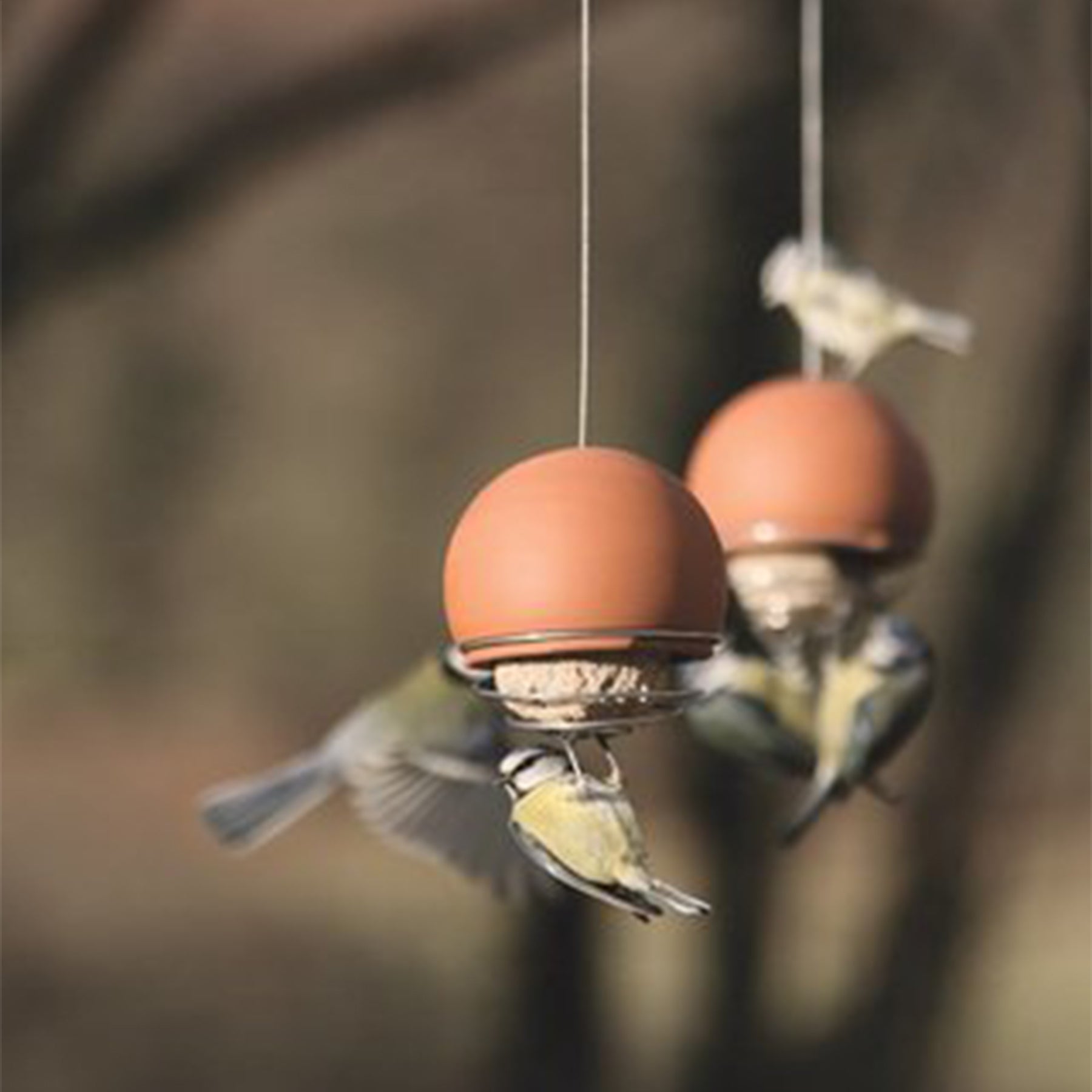 Birdball Belle Bird Feeder - White by Green & Blue