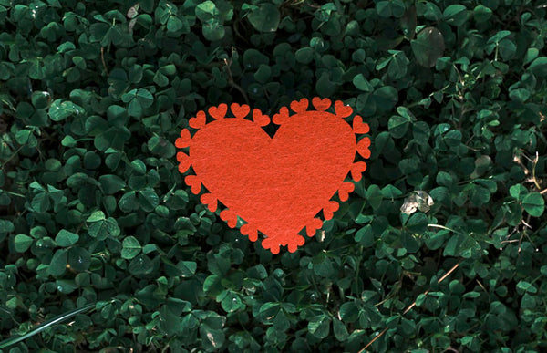 6 Ideas To Have A Green Valentine’s Day