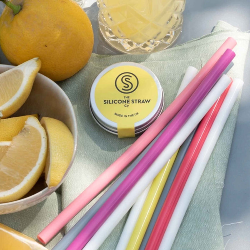 Reusable Straw in Travel Tin 8 Colours | Eco Friendly Gift