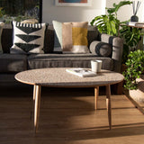 Sustainable Oval Wooden Coffee Table - Beach Clean