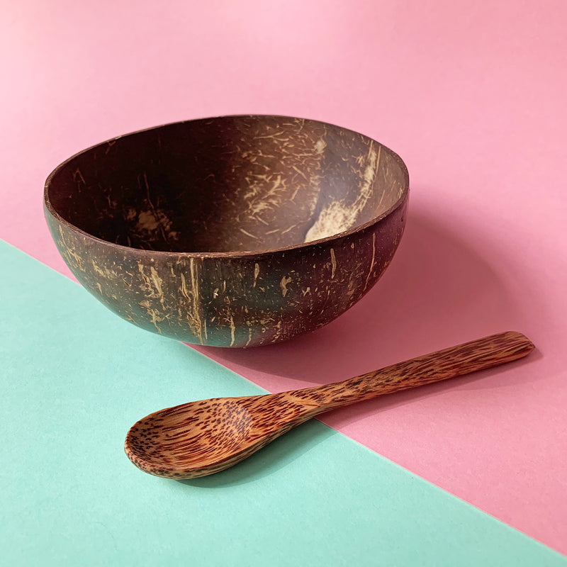 Coconut wood spoon with coconut bowl
