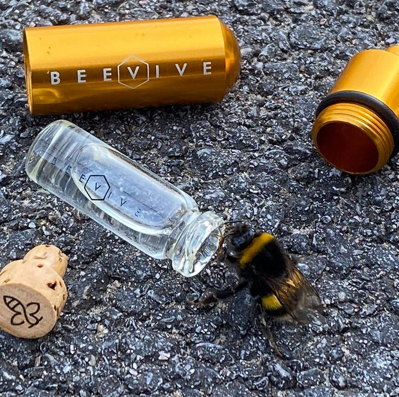 Bee Revival Kit - Gold by Beevive