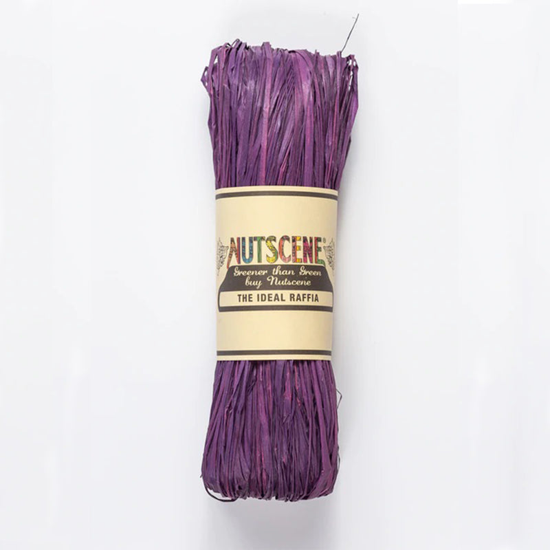 Purple Raffia Paper Bundle by Nutscene