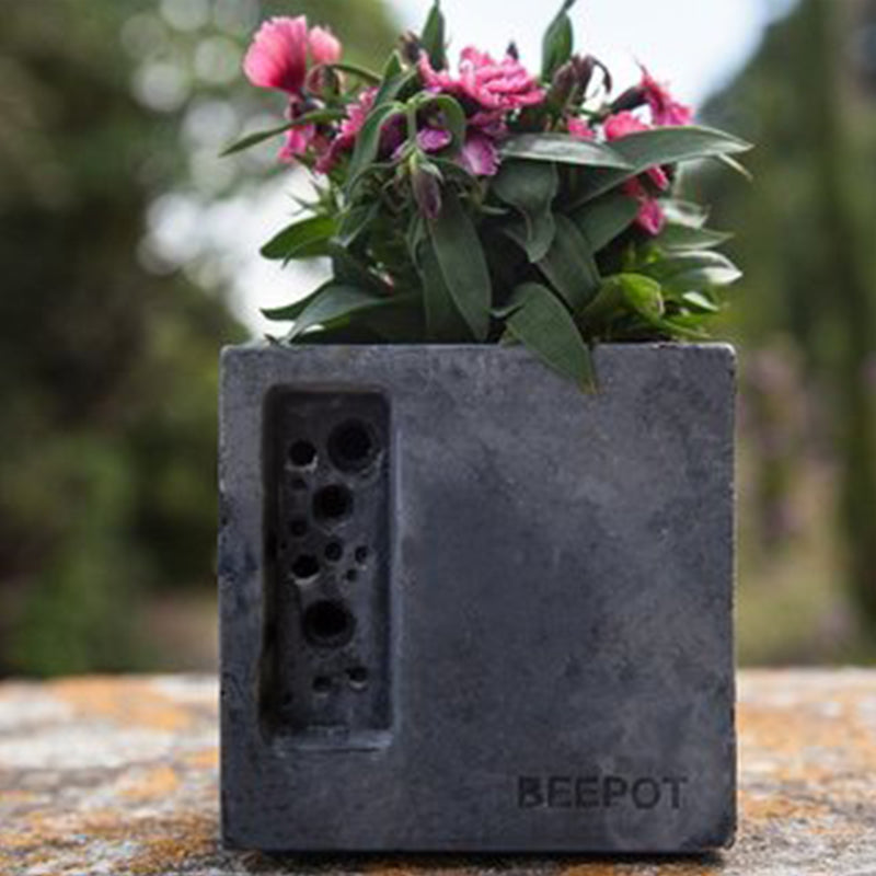Beepot Mini Planter - Charcoal Grey by Green & Blue