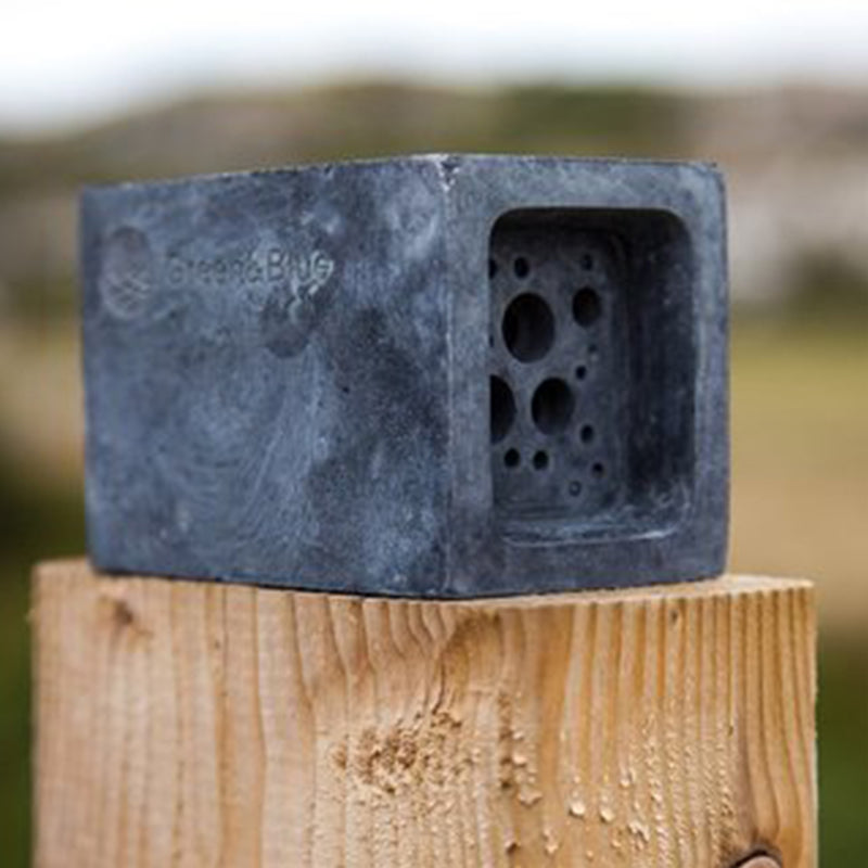 Small Bee Block - Charcoal Grey by Green & Blue